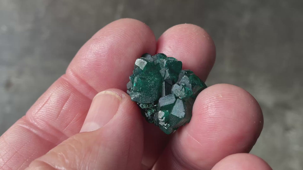 RESERVED FOR ASHRA ** 6g Congolese Dioptase Specimen B