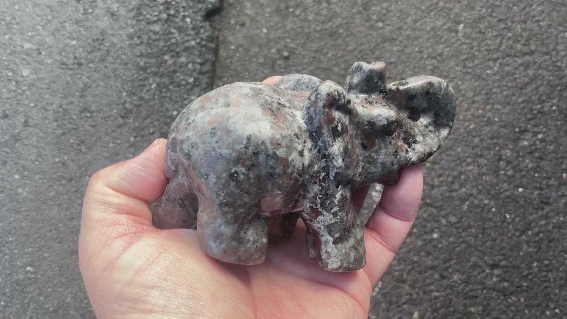 490g Syenite with Sodalite “Yooperlite” Large Carved Elephant A