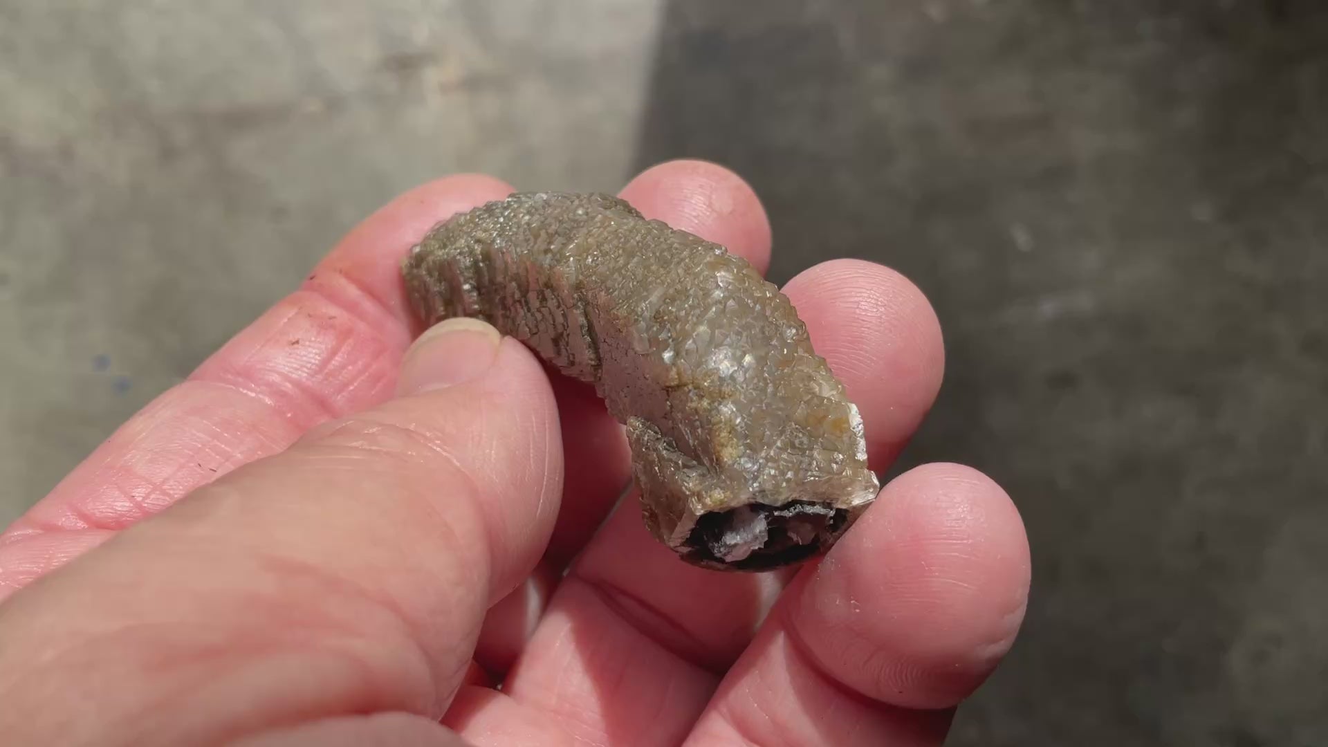 18g Stepped Brown Calcite Tube with Graphite Specimen 4A