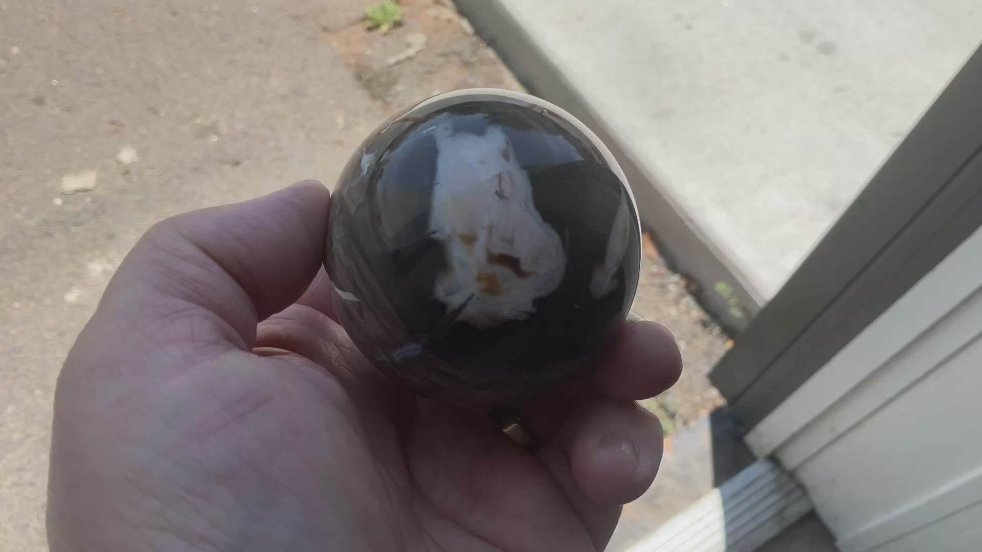 280g Western Australian “Peanut Wood” Sphere 2C