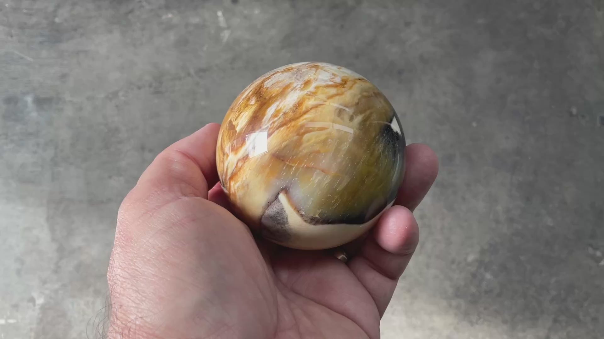 346g (7cm diameter) Opalised/Agatised Wood Sphere 2C from Springsure