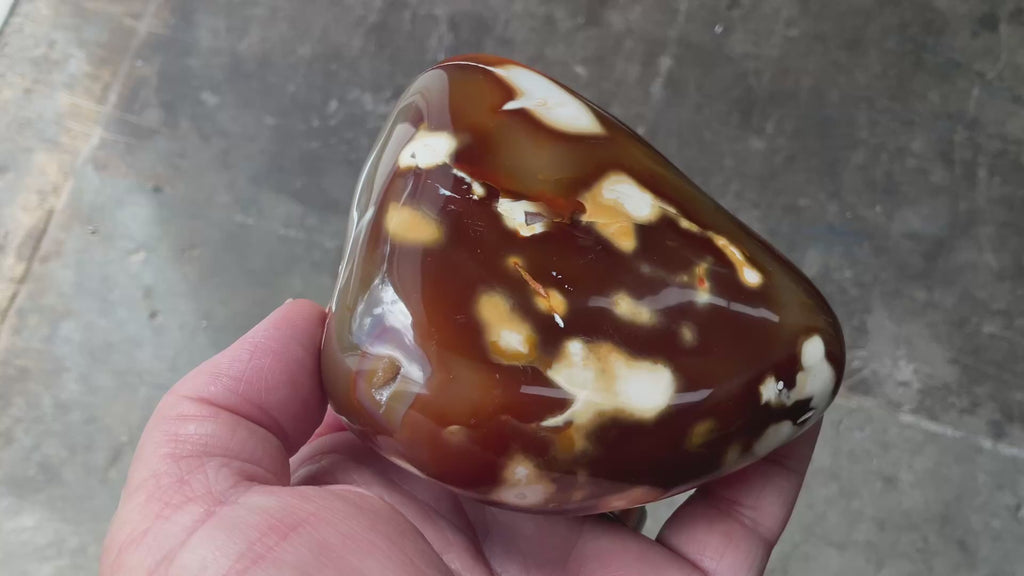 646g Carnelian Orca Agate Freeform 9A